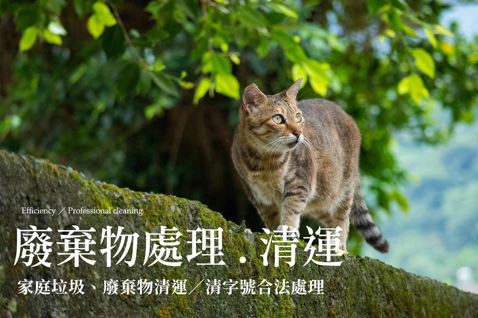 排放處理清運