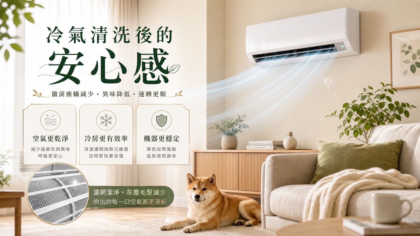分離式冷氣清洗後減少異味過敏並提升冷房效率的科普圖