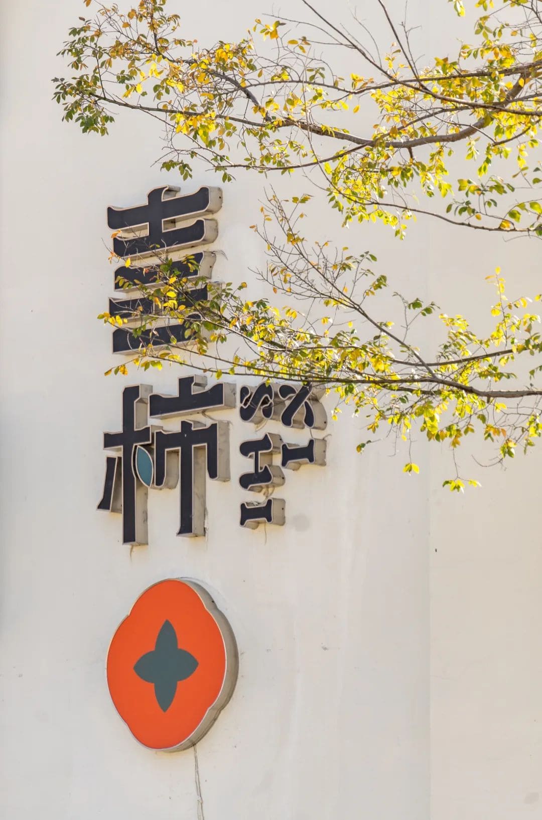 春晓水杉居招牌入口 蘇州江南民宿
