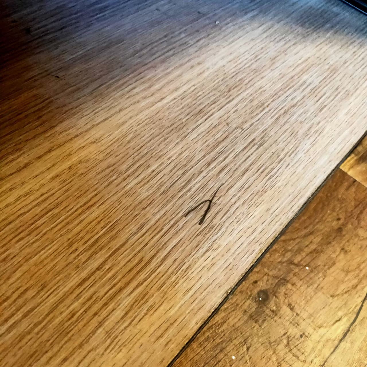 嘉義裝潢後細清前木地板表面膠痕細節 嘉義裝潢後細清前木地板表面膠痕細節