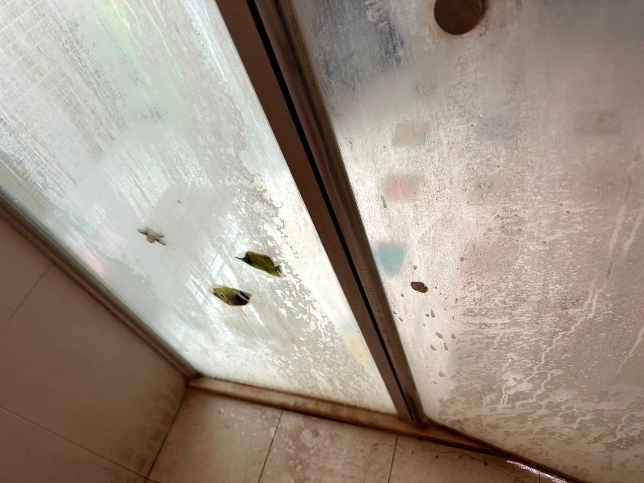 浴室玻璃門清潔前有水垢與髒污