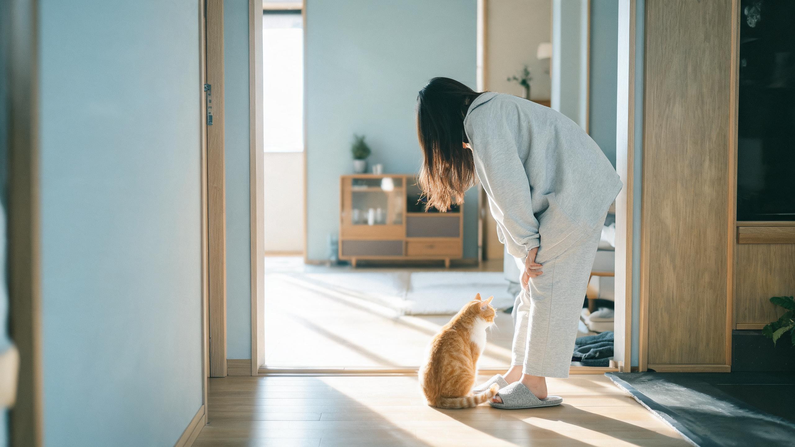 毛孩在家中停下來看主人的日常瞬間，呼應「狗狗獨處訓練」主題